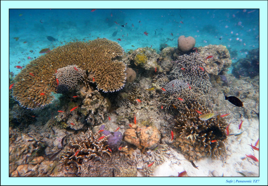 2009   07   Matakin 40